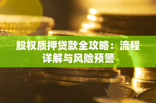 北京股权质押贷款全攻略：流程详解与风险预警