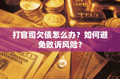 北京打官司欠债怎么办？如何避免败诉风险？