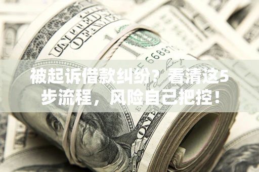 北京被起诉借款纠纷？看清这5步流程，风险自己把控！