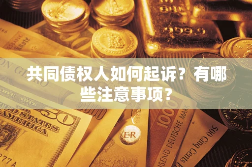 北京共同债权人如何起诉？有哪些注意事项？